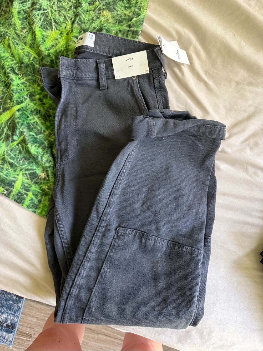 Hollister Men’s Pants